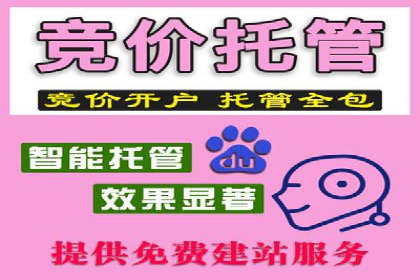 信息流代运营实战技巧与案例分析
